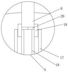 Clinical medical examination technology smear device with novel structure