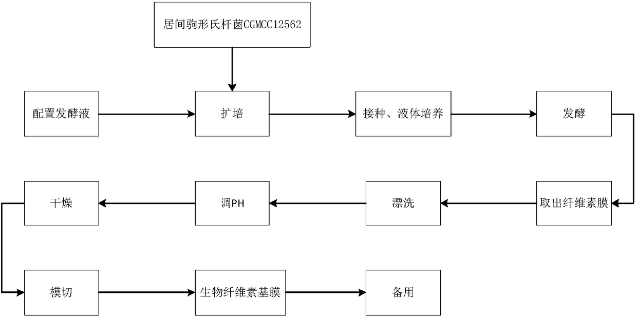 Preparation of soybean molasses biological cellulose moisture mask