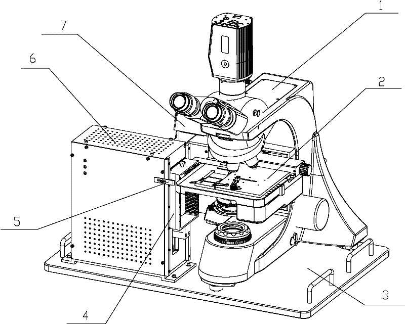 Microscope slice automatic feeding device