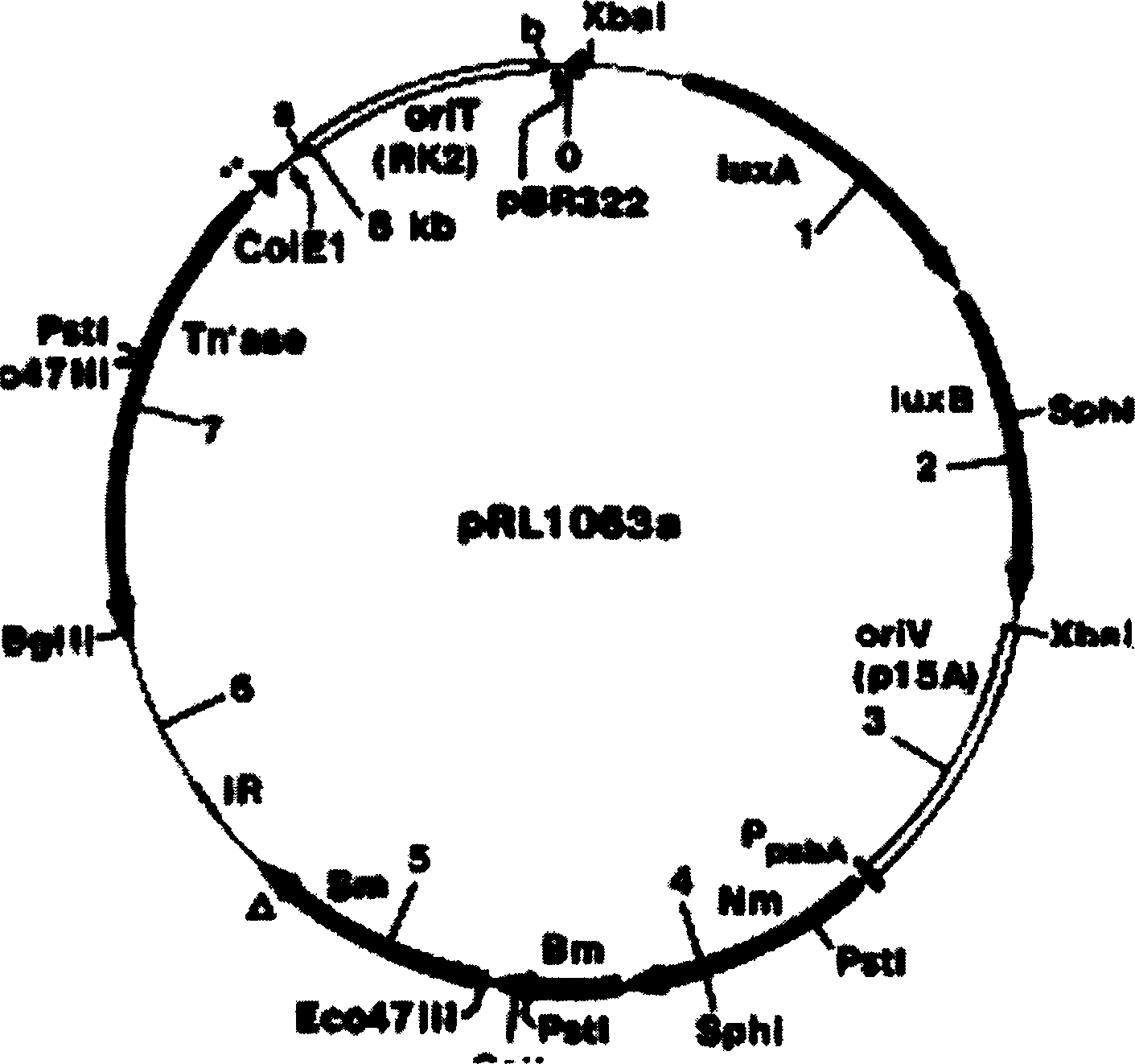 A genetically engineered bacteria, its constructing method and use thereof