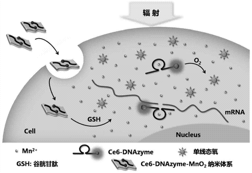 A gene silencing kit and method