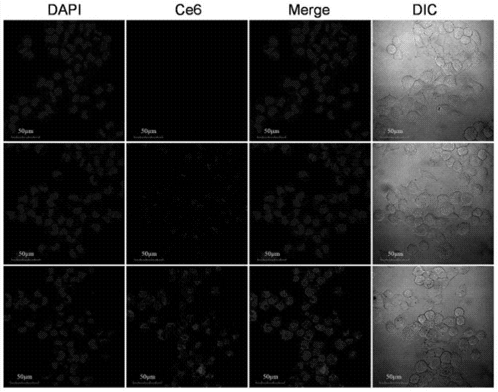 A gene silencing kit and method