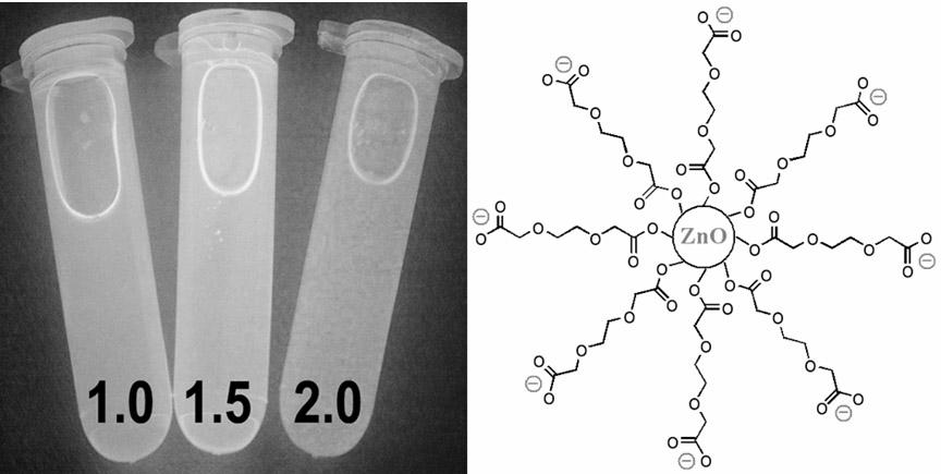 ZnO luminous nanoparticles synthesized in polyethylene glycol and preparation method thereof