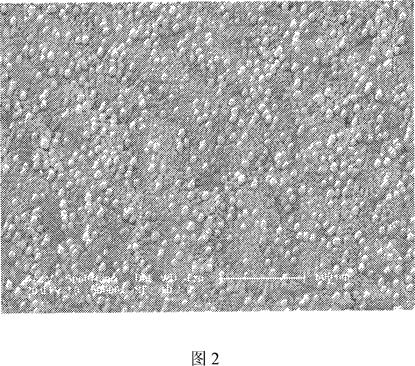 Method for assembling block copolymer for preparing gold nano array electrode in water phase