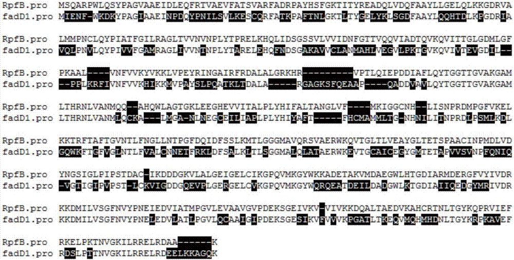 Application of enzyme FadD1 in pseudomonas aeruginosa for degrading DSF family signal molecules