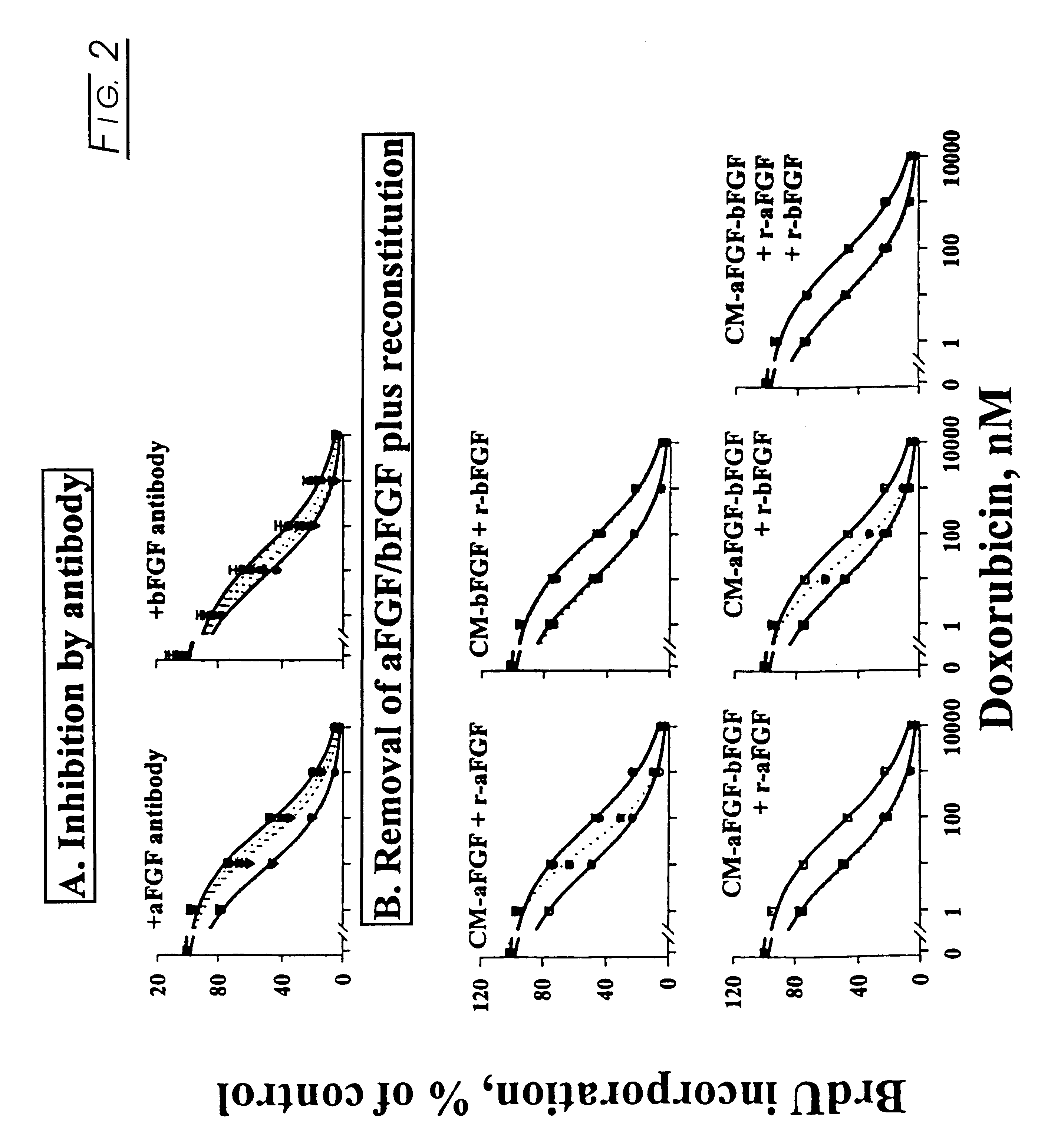 Methods and compositions for modulating cell proliferation and cell death