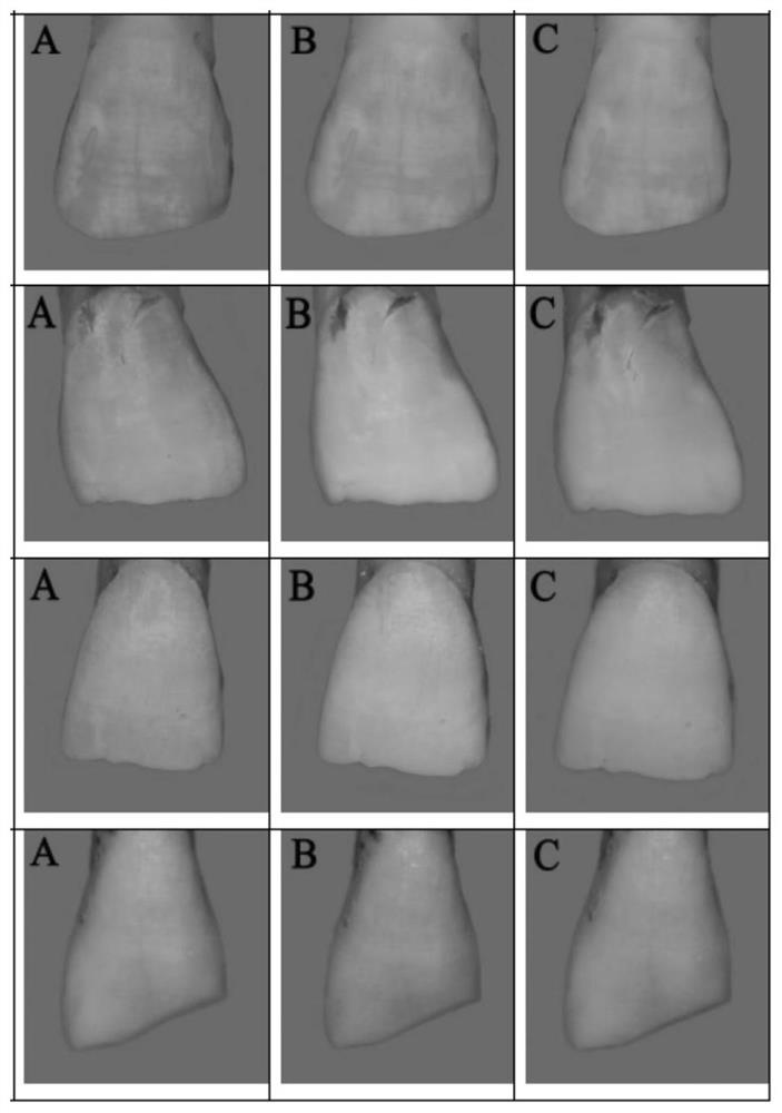 Application of AIE photosensitizer as photodynamic method tooth bleaching agent and photodynamic method tooth bleaching agent