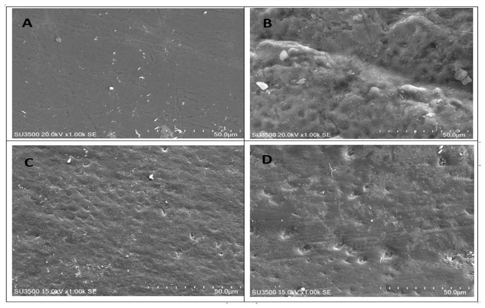 Application of AIE photosensitizer as photodynamic method tooth bleaching agent and photodynamic method tooth bleaching agent