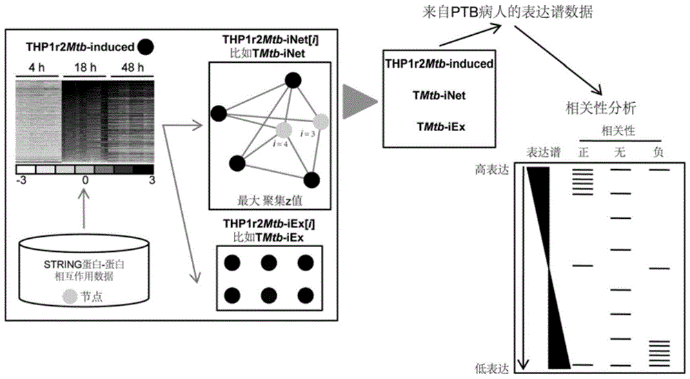 Gene Set Identification Method Based on Protein-Protein Interaction Network