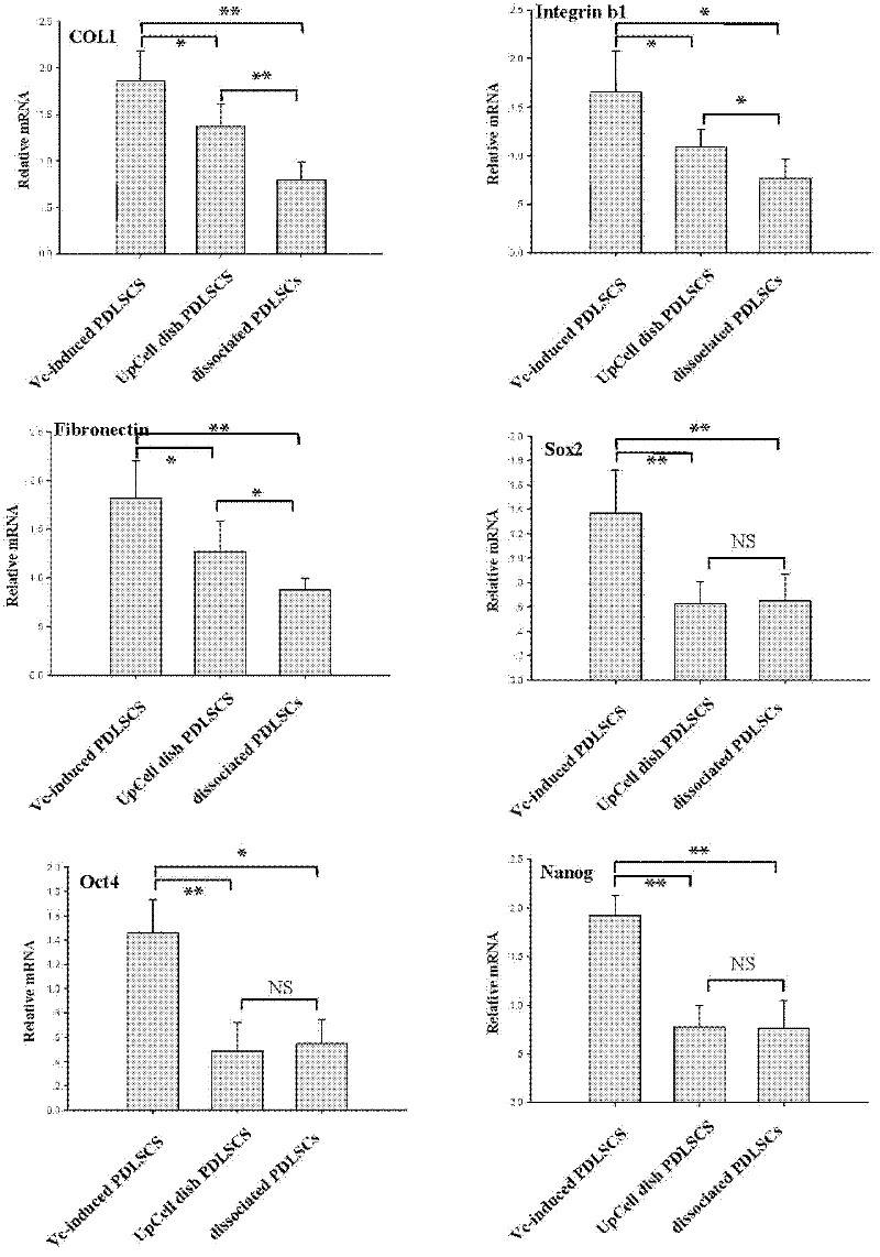 Vitamin C induced mesenchymal stem cell membrane and preparation method thereof