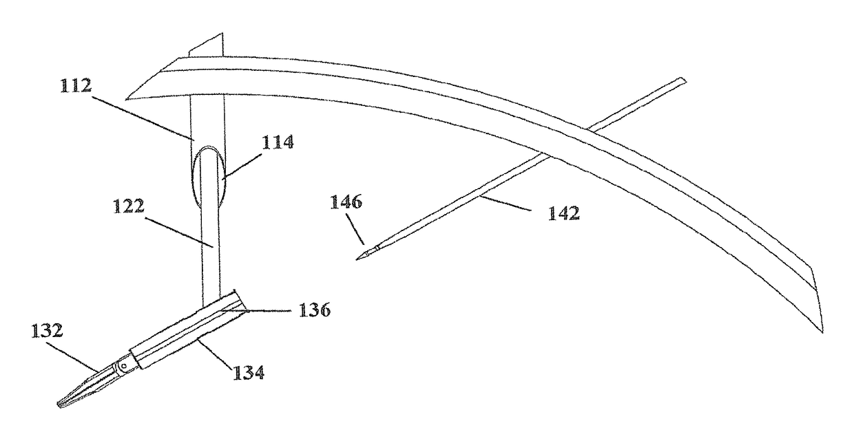 System and method of deploying an elongate unit in a body cavity