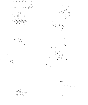 Protease, preparation method of same, as well as application and pharmaceutical formulation thereof