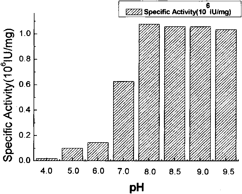 Protease, preparation method of same, as well as application and pharmaceutical formulation thereof