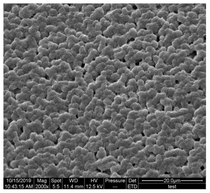 A kind of preparation method of polymer electrolyte with cellulose as additive