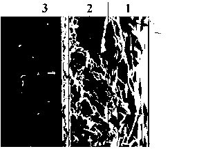 Method for improving firmness of combination of dye-sensitized cell nanometer fibrous membrane and conductive glass