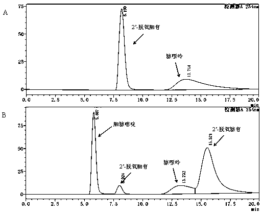 Method for preparing 2'-deoxyadenosine pure product by utilizing enzyme catalysis