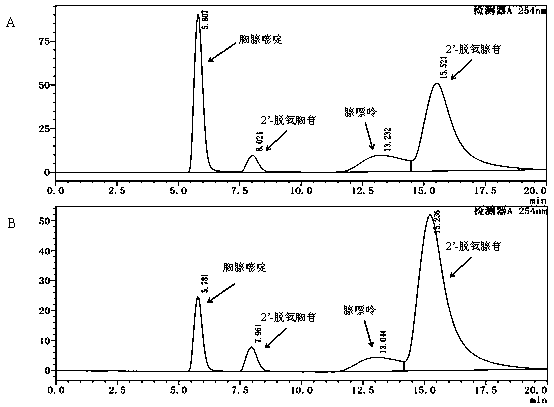 Method for preparing 2'-deoxyadenosine pure product by utilizing enzyme catalysis