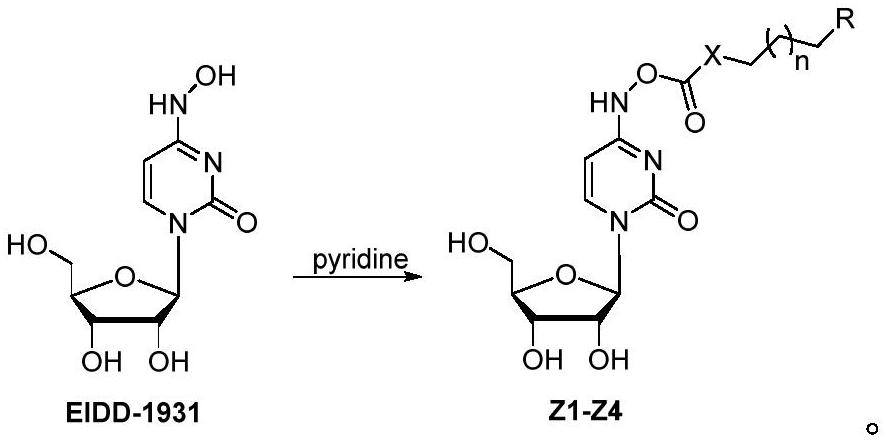 N4-hydroxycytidine lipid prodrug as well as preparation method and application thereof