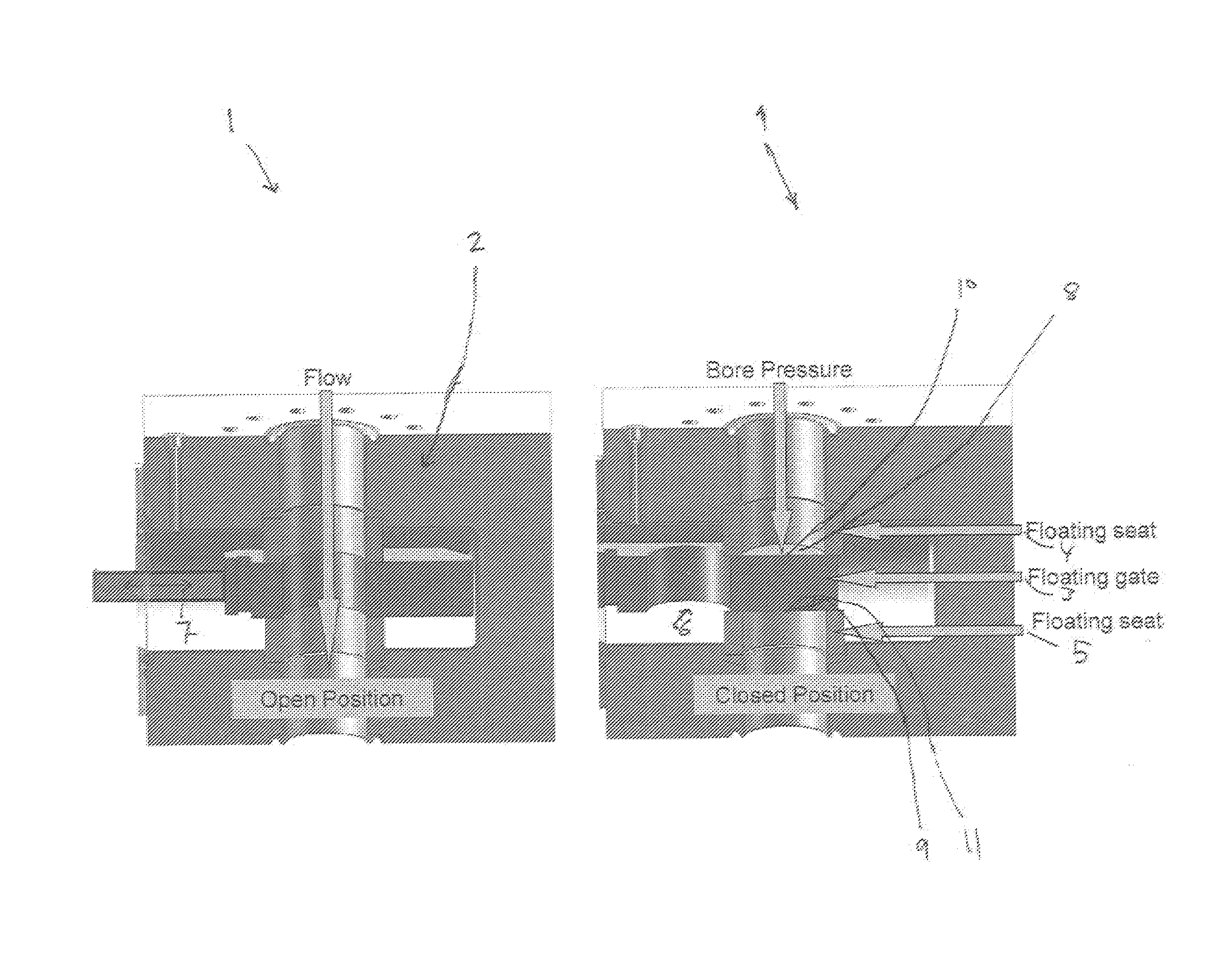 Dlc-coated gate valve in petroleum production or water injection