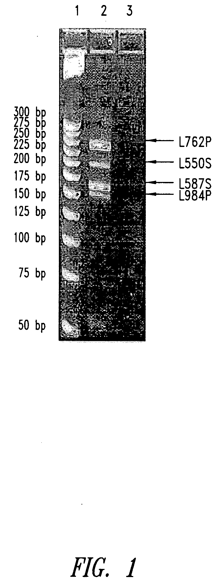 Methods, compositions and kits for the detection and monitoring of lung cancer