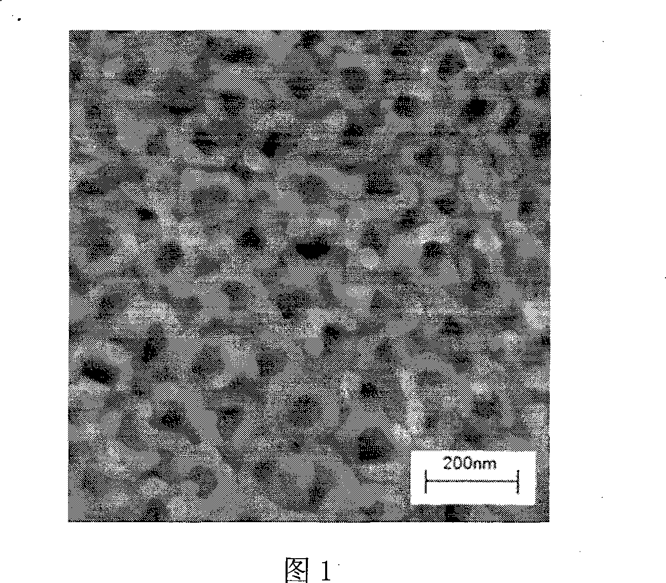 Method for in-situ preparation of PbTiO3 nano-tube array film by using hydrothermal process