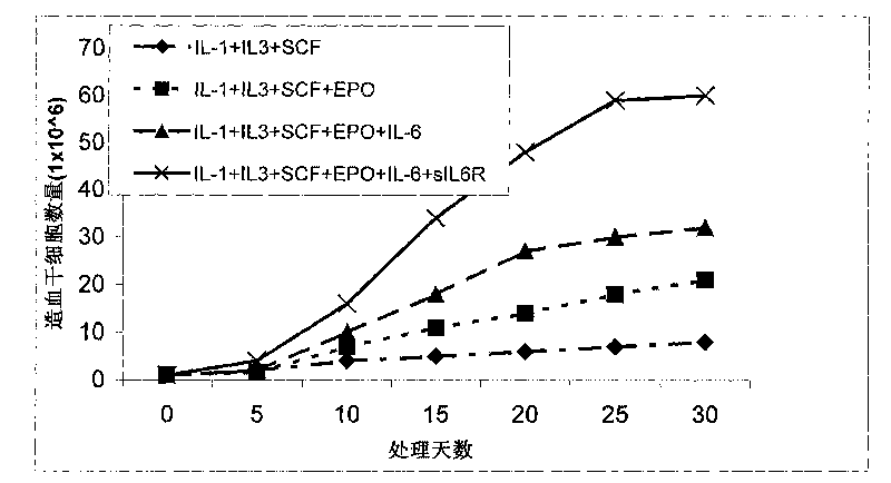 Method for in vitro amplification of hemopoietic stem cells and precursor cells