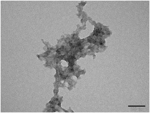 A kind of preparation method of antibacterial protein peptide-nanoparticle complex