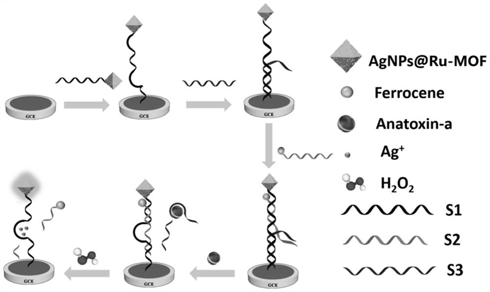 Target object and redox dual-response aptamer sensor, preparation method and application thereof, and quantitative detection method of anabaena toxins