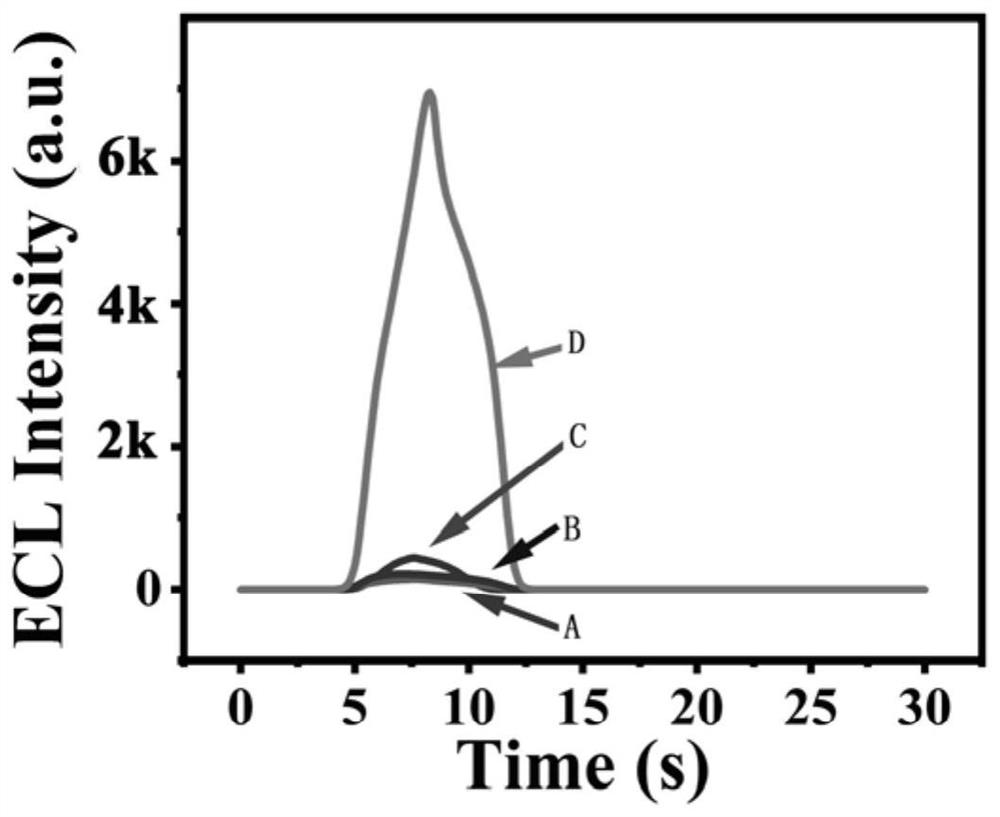 Target object and redox dual-response aptamer sensor, preparation method and application thereof, and quantitative detection method of anabaena toxins