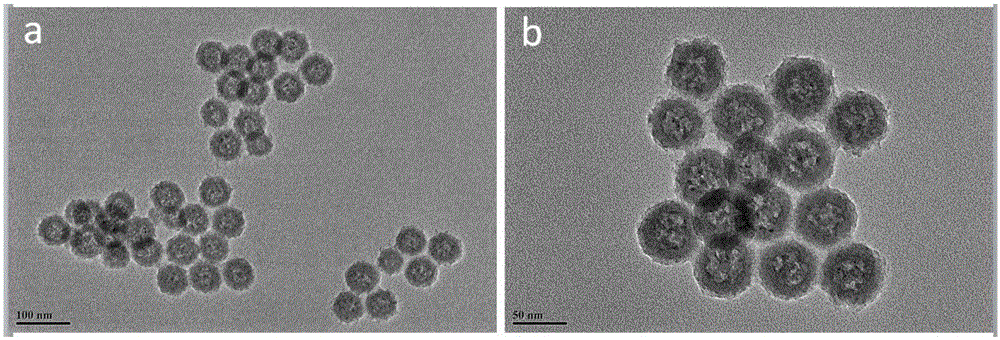 Porous Se-SiO2 nanoparticle as well as preparation method and application thereof