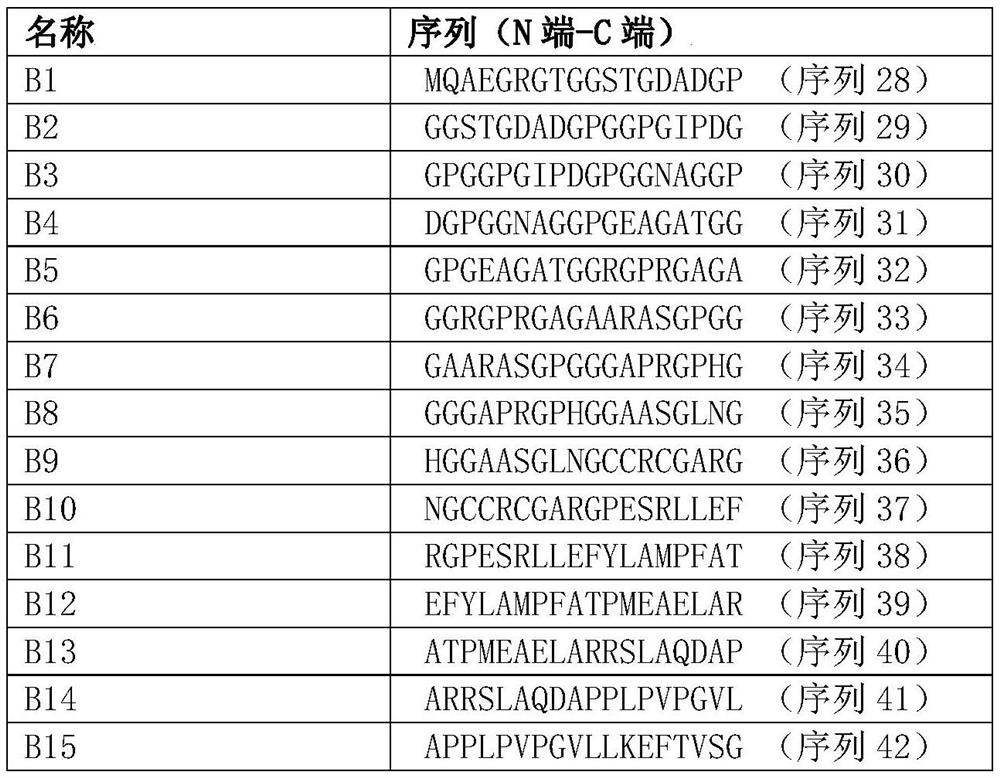 Complete set of polypeptide for predicting whether liver cancer is easy to relapse or not after being treated with ablation by using tumor antigen specific T cell reaction and application of complete set of polypeptide