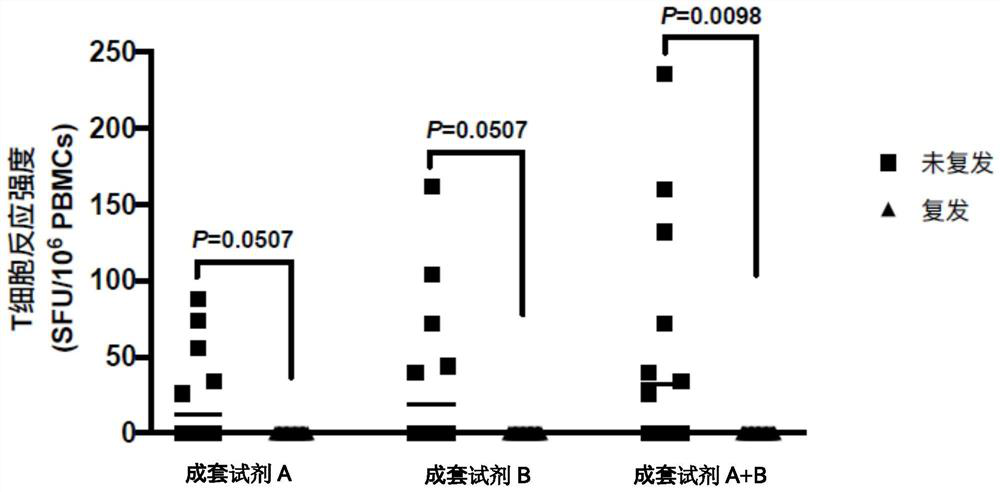 Complete set of polypeptide for predicting whether liver cancer is easy to relapse or not after being treated with ablation by using tumor antigen specific T cell reaction and application of complete set of polypeptide