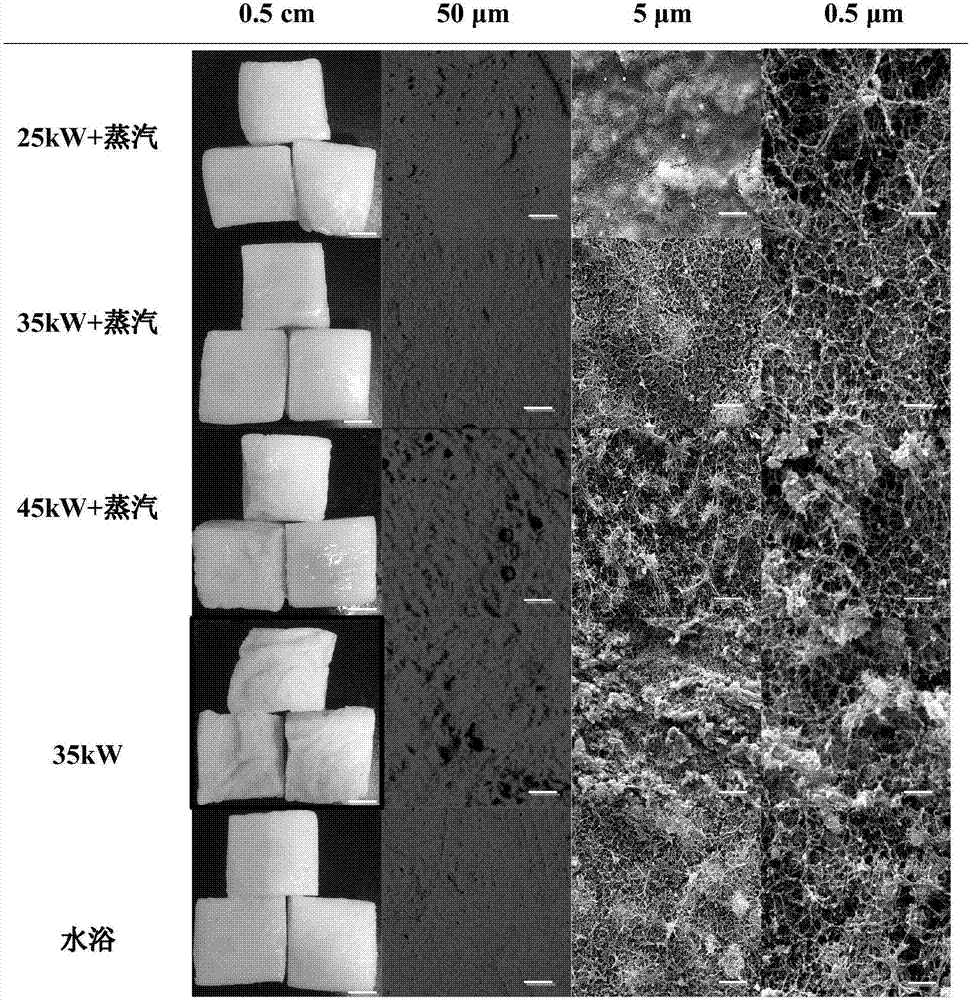 Method for improving apparent appearance of minced fish product with microwaves in curing process