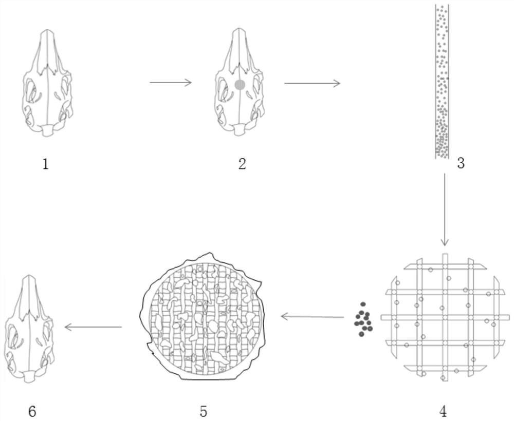 Gradient 3D printing ti-pda-bmp-2 bone defect repair scaffold and its preparation method