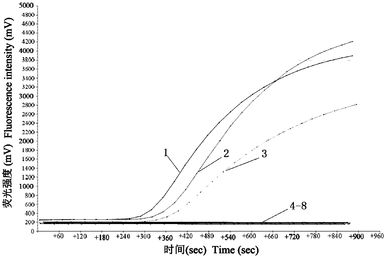 Reagent, detection method and application for detecting deer epidemic hemorrhagic fever virus