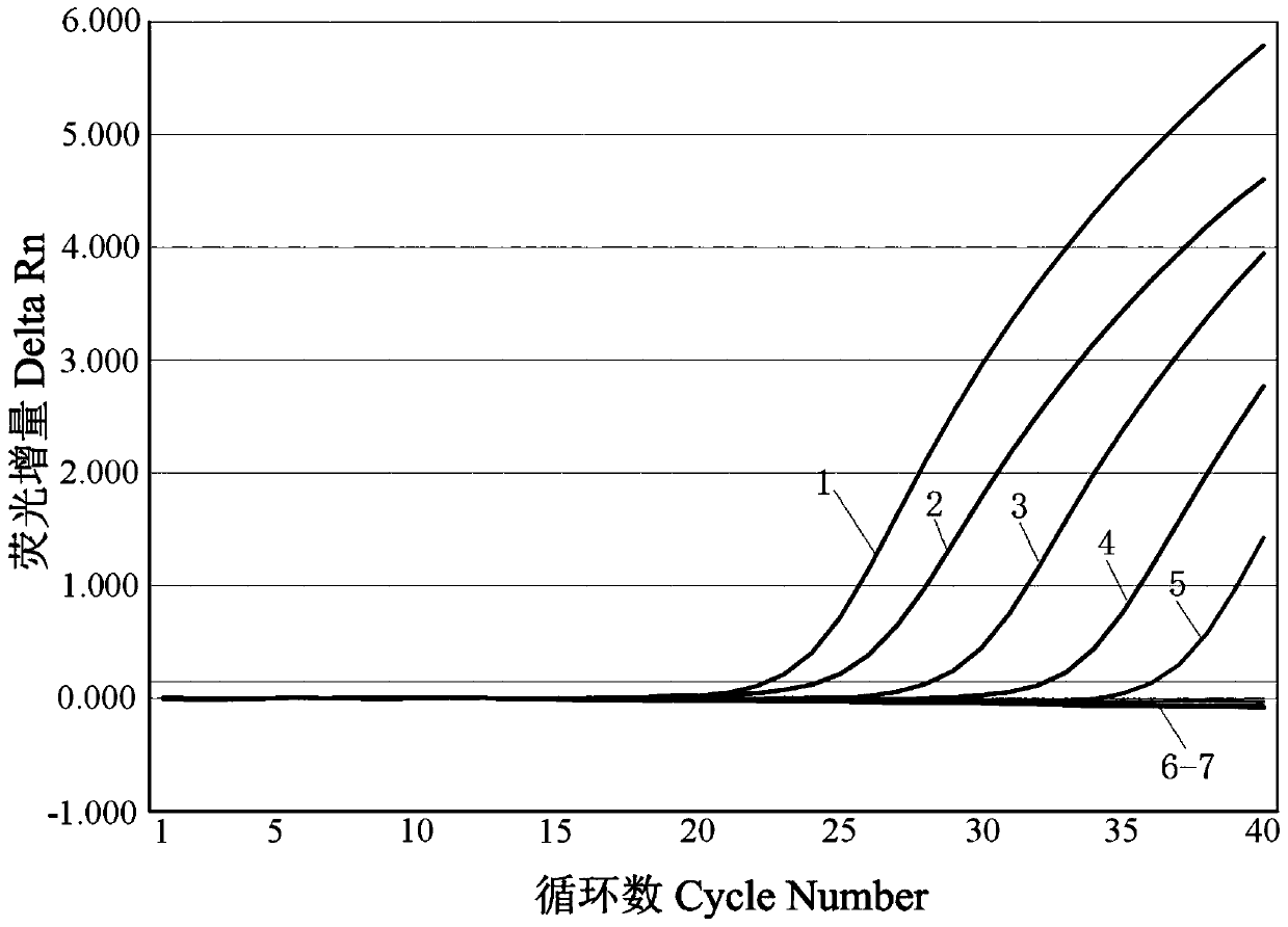 Reagent, detection method and application for detecting deer epidemic hemorrhagic fever virus