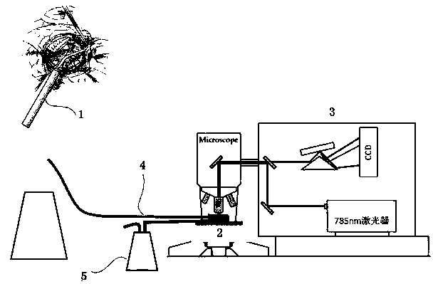 Integrated glioma surgical instrument