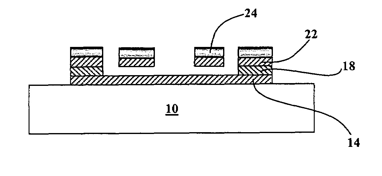 Nickel-coated free-standing silicon carbide structure for sensing fluoro or halogen species in semiconductor processing systems, and processes of making and using same