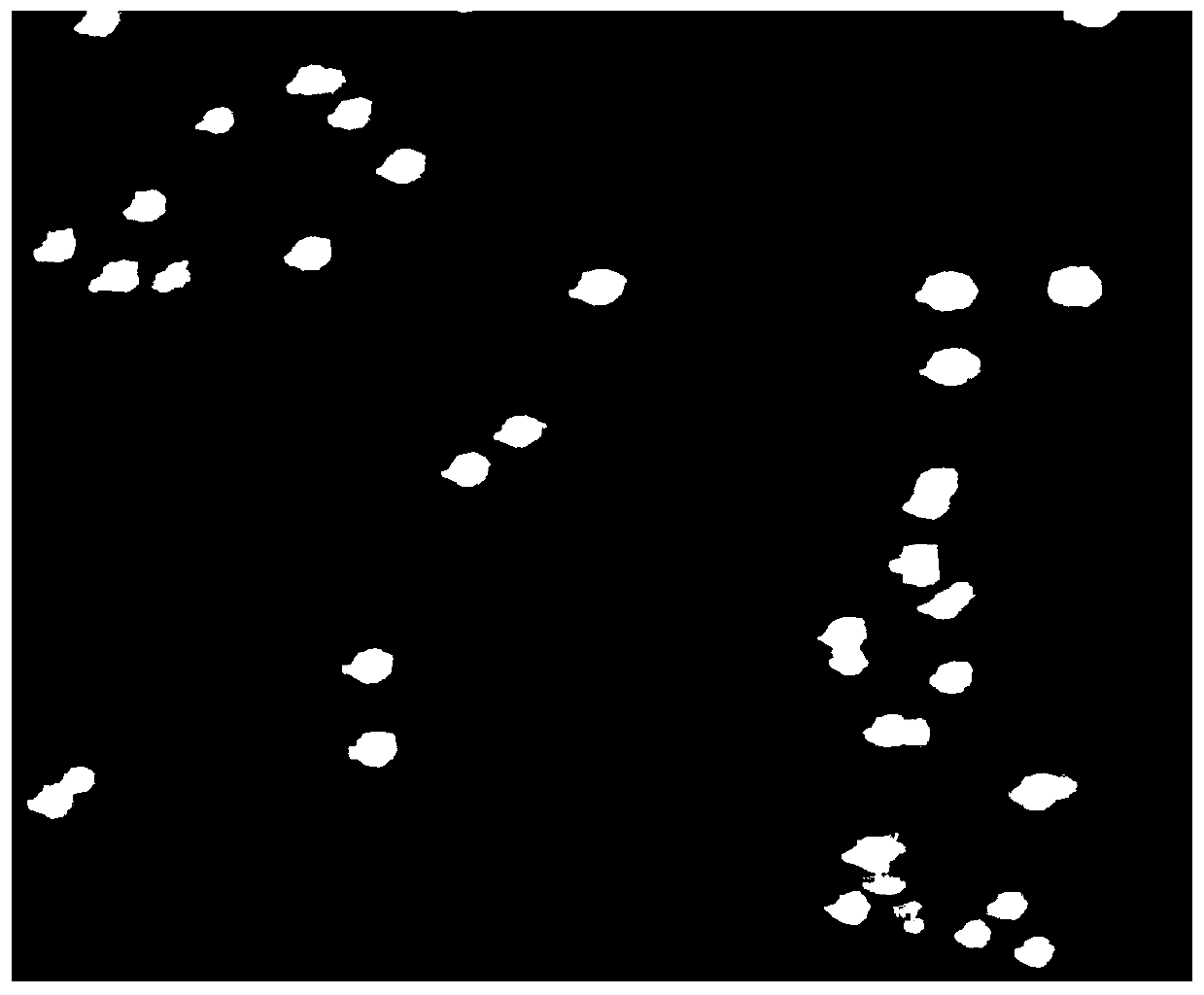 A Strain of Staphylococcus equine zh810 and Its Application