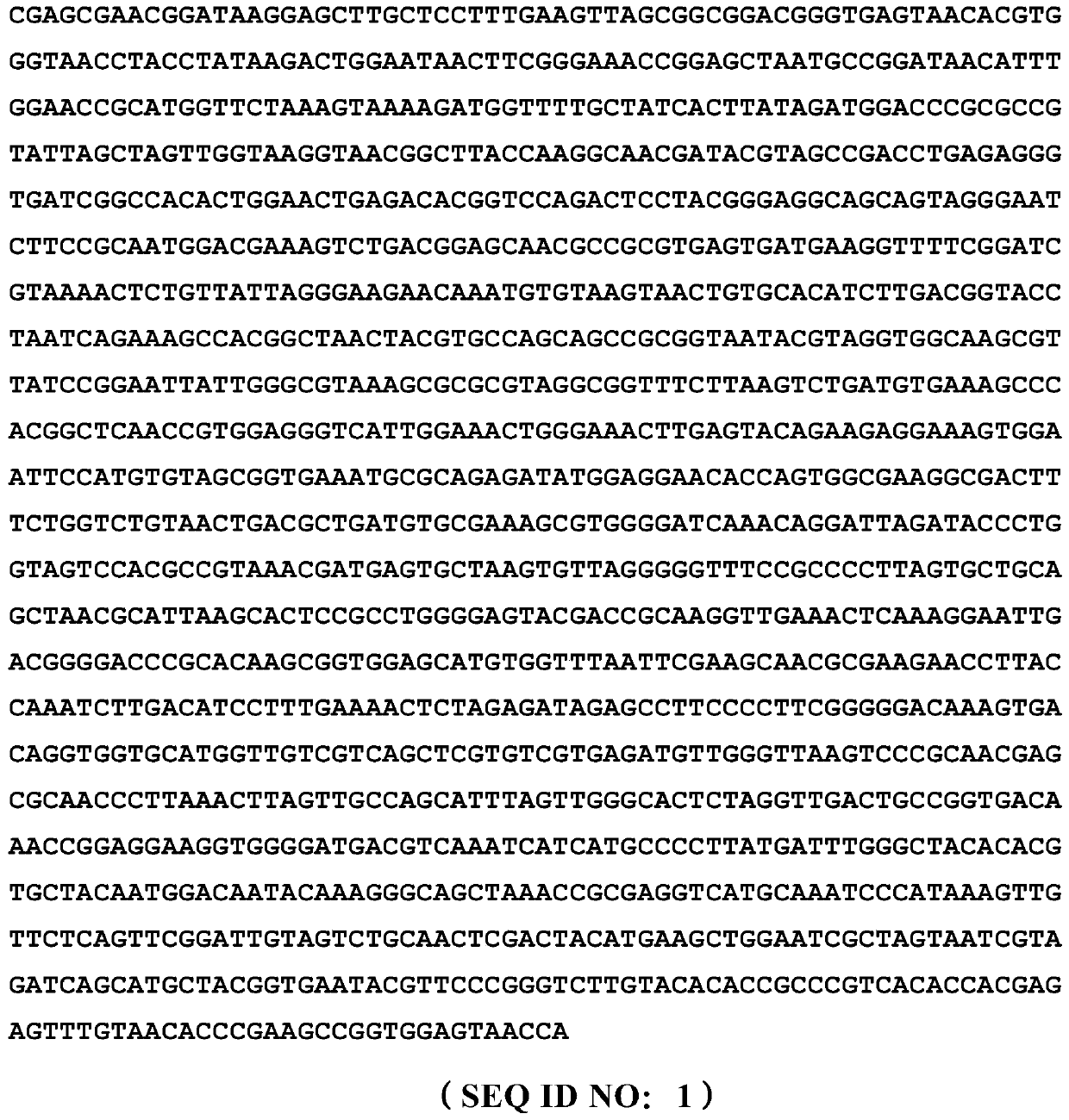 A Strain of Staphylococcus equine zh810 and Its Application