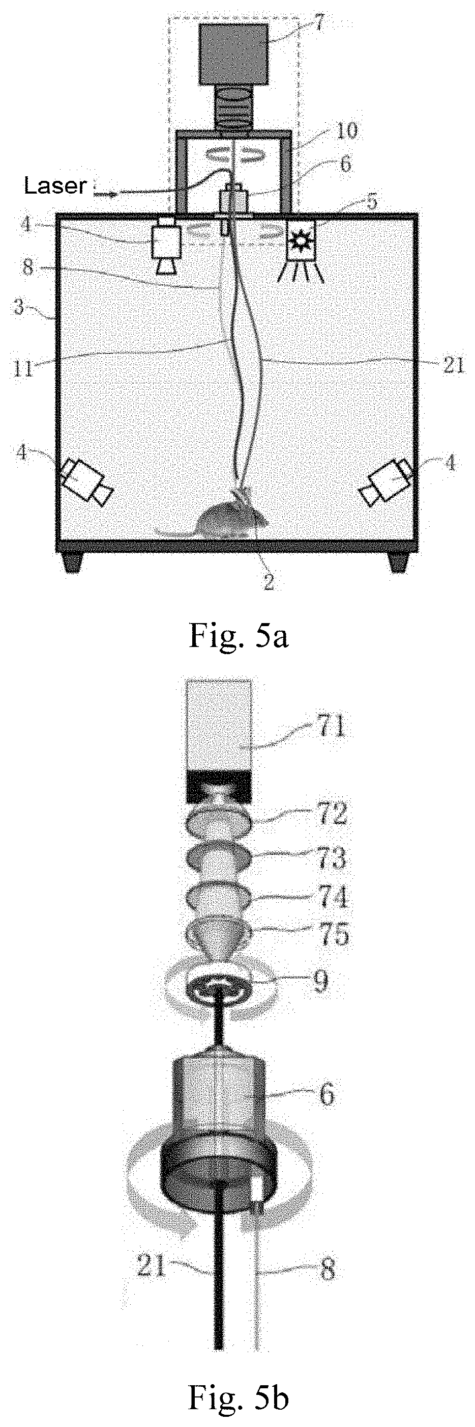 Femtosecond pulse laser modulator and miniature two-photon microscopic imaging device