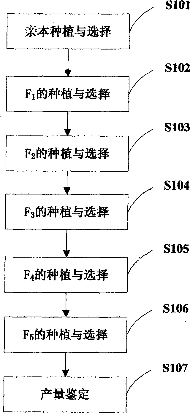 Method for breeding of eurytopic high-yield new wheat variety in one spot between different sowing time