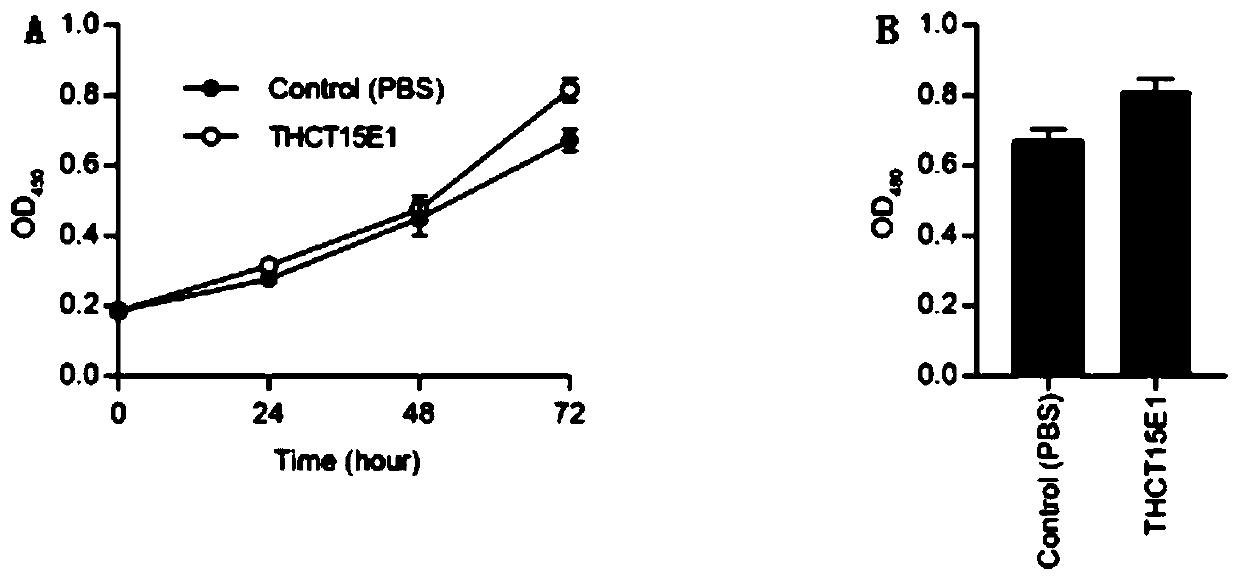 Fusobacterium nucleatum polymorphic subspecies isolate and application thereof