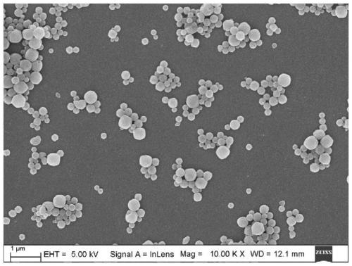 Composite nano microsphere with rapid mucus permeation effect as well as preparation method and application of composite nano microsphere