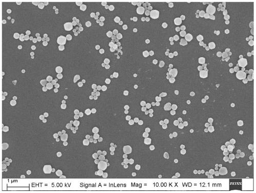 Composite nano microsphere with rapid mucus permeation effect as well as preparation method and application of composite nano microsphere