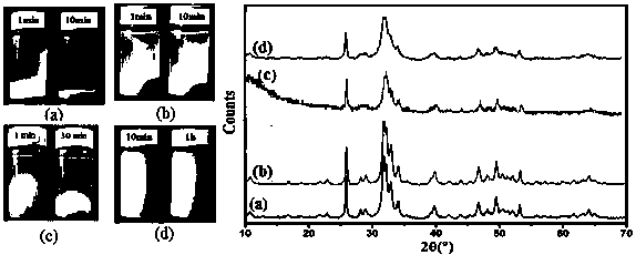 Preparation method of high-dispersity nano-apatite
