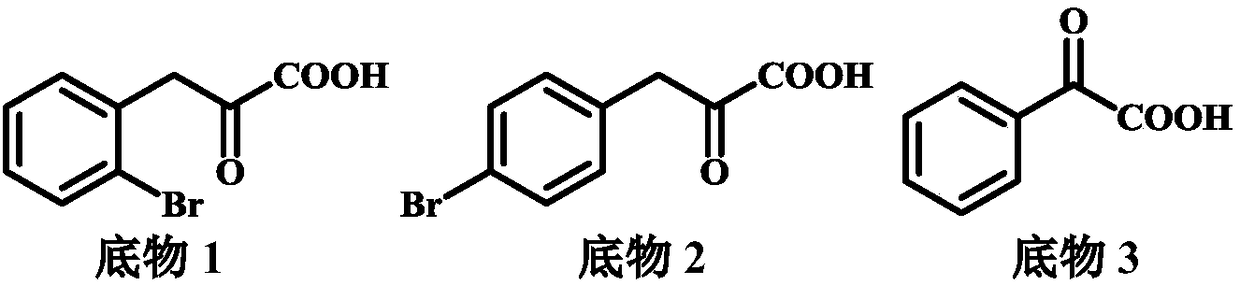 Amino acid dehydrogenase mutant and application thereof