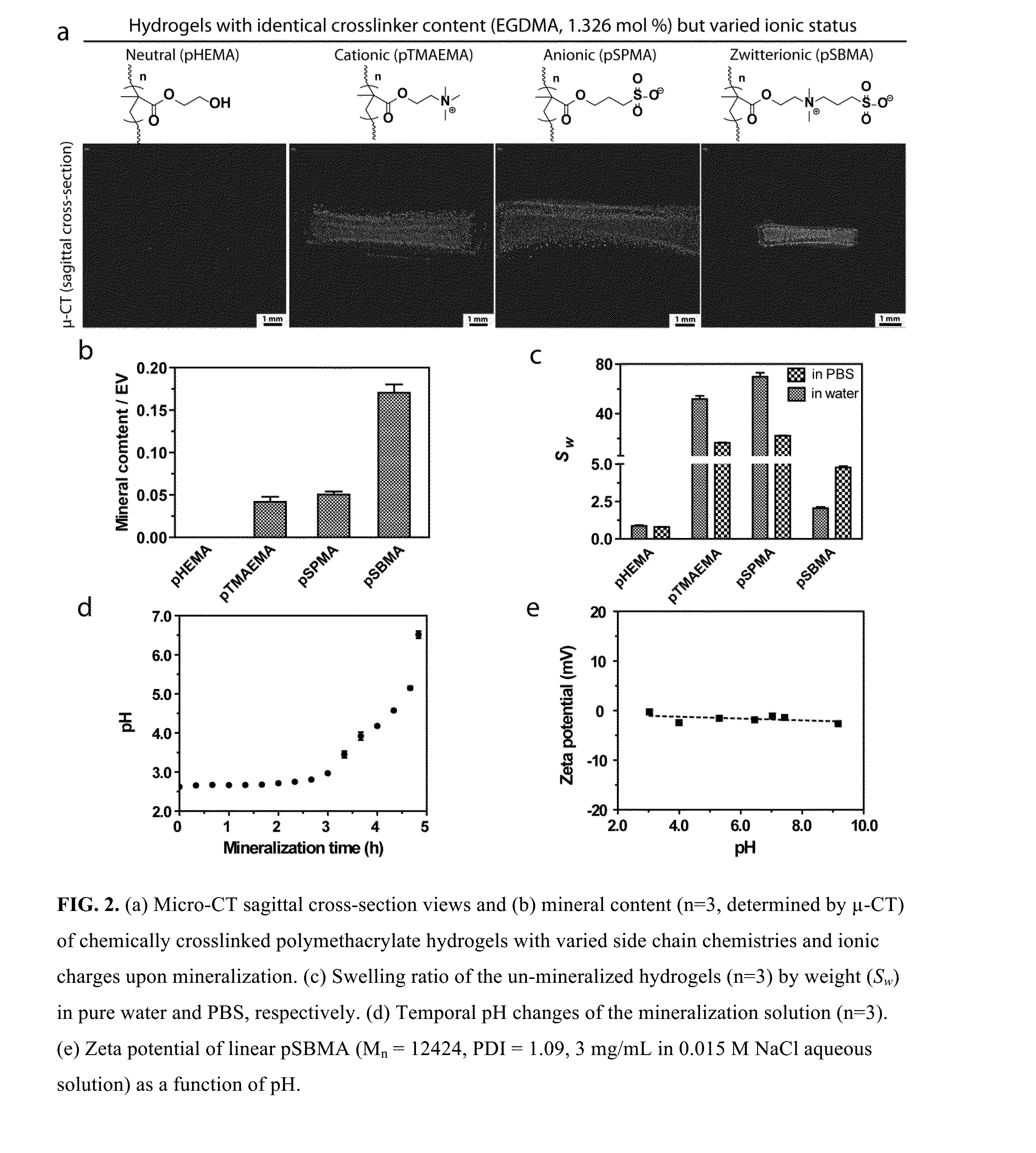 Compositions and methods for templating three-dimensional mineralization