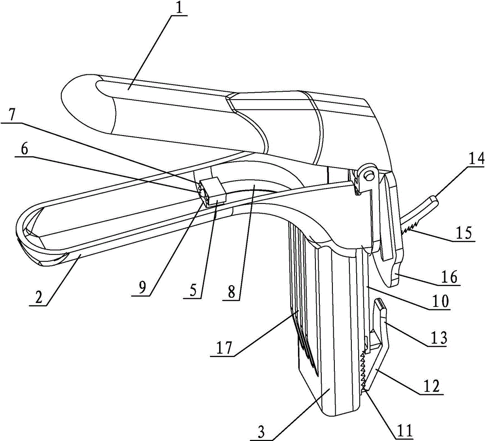 Vaginal dilator with image collection function and image collection system based on vaginal dilator