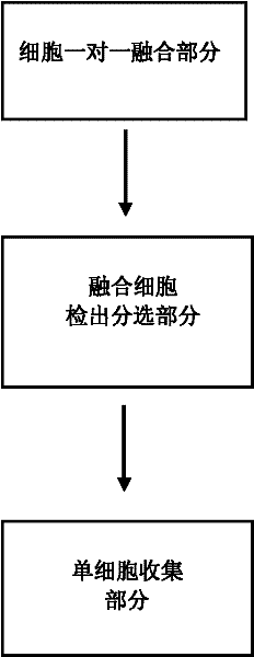 Flow cytometry electrofusion apparatus